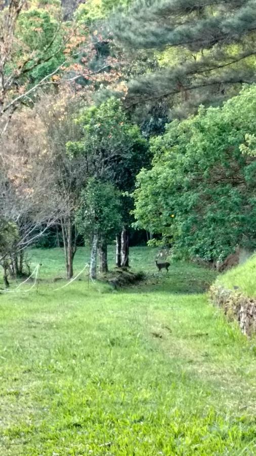 Estalagem Reserva Da Collina Gramado Eksteriør billede