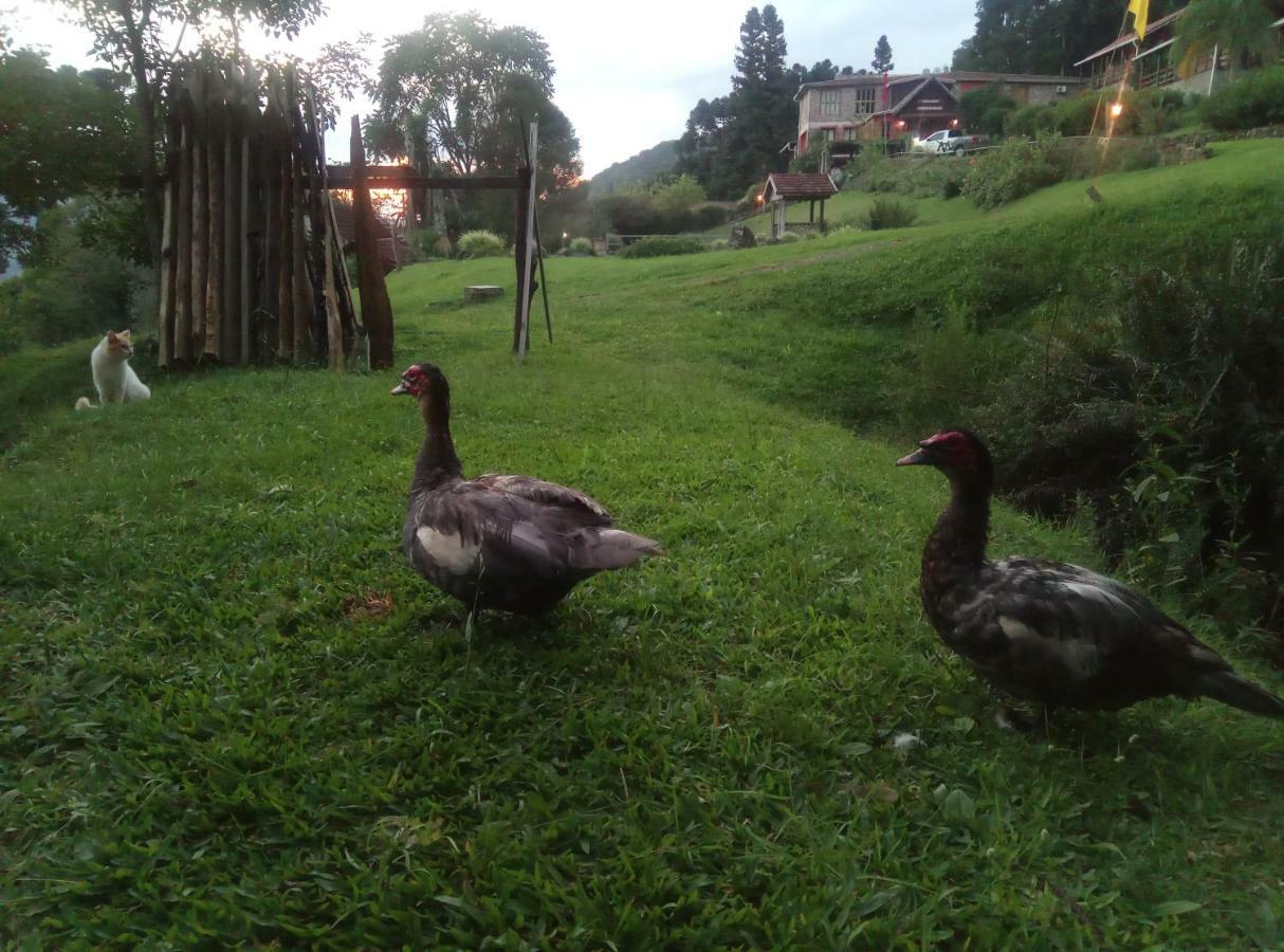 Estalagem Reserva Da Collina Gramado Eksteriør billede