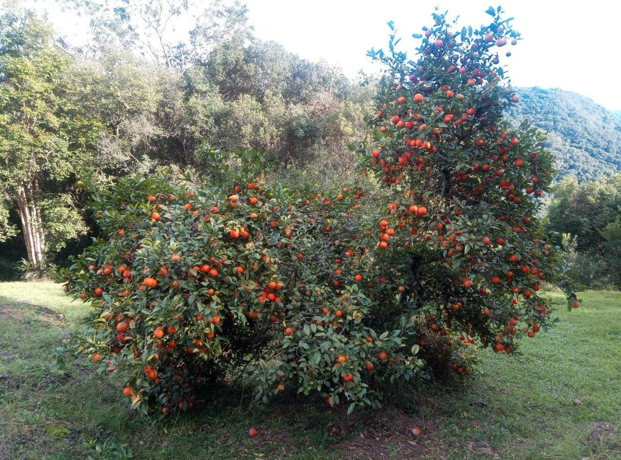 Estalagem Reserva Da Collina Gramado Eksteriør billede
